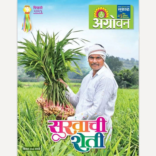 Agrowan Diwali Ank 2025 (अॅग्रोवन दिवाळी अंक 2025)
