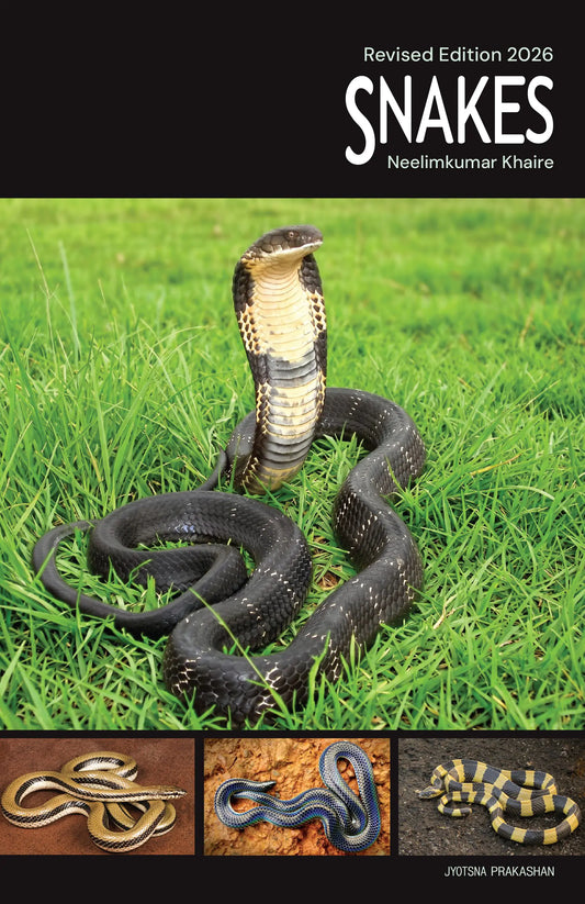 Snakes By Neelimkumar Khaire