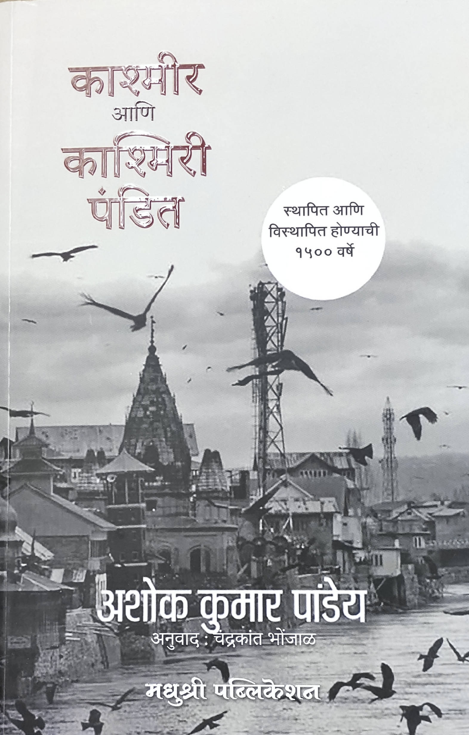 काश्मीर आणि काश्मिरी पंडित बाय अशोक पांडेय  Kaivalya Joshi Books inspire-bookspace.myshopify.com Half Price Books India